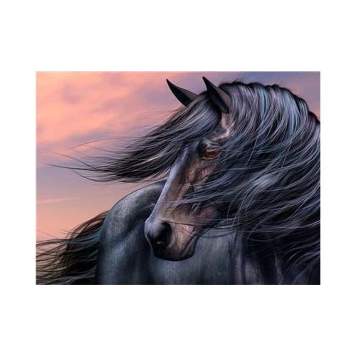 Festés számok után Ló a szélben 40x50 cm