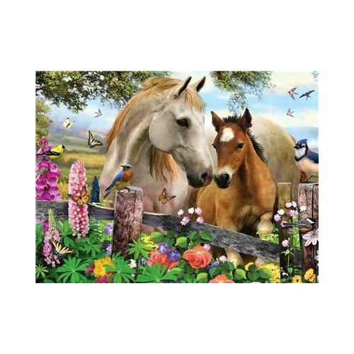 Festés számok után - Fehér ló és csikója 40x50 cm