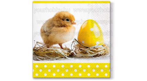 Szalvéta Húsvét - Kiscsibe  tojás mellett