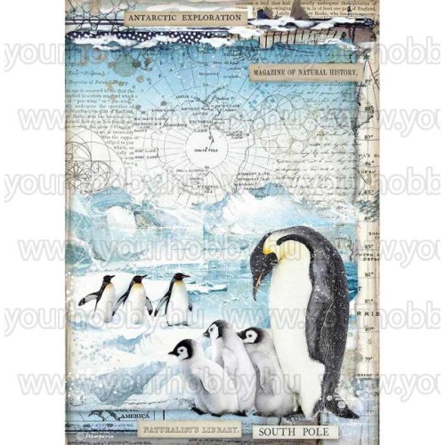 Stamperia Dekupázs rizspapír A4 Pingvinek DFSA4479