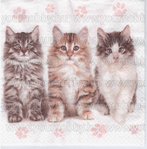 Szalvéta Három gyönyörű macska